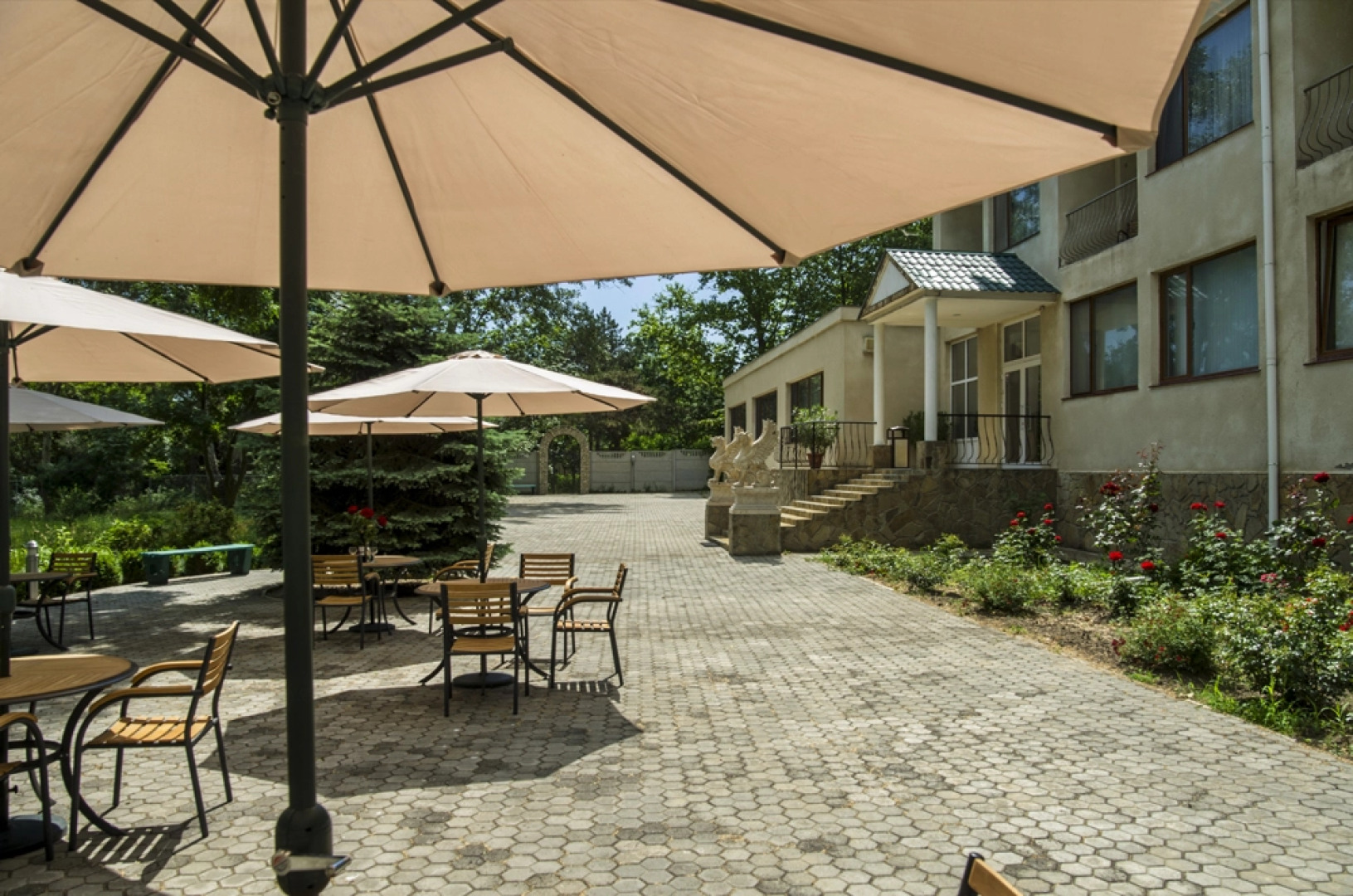 Отель Мечта Тея