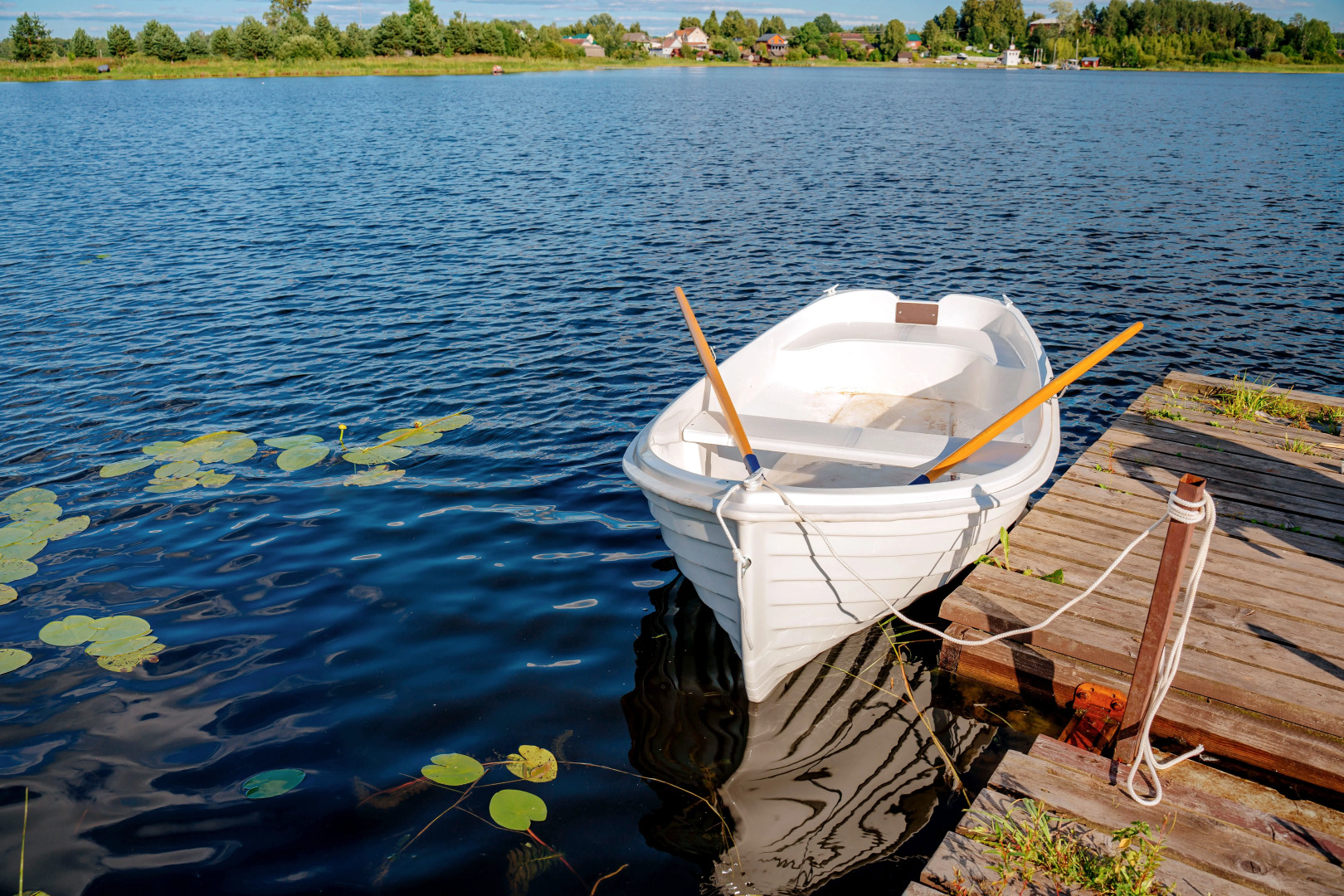 Глэмпинг Носороги