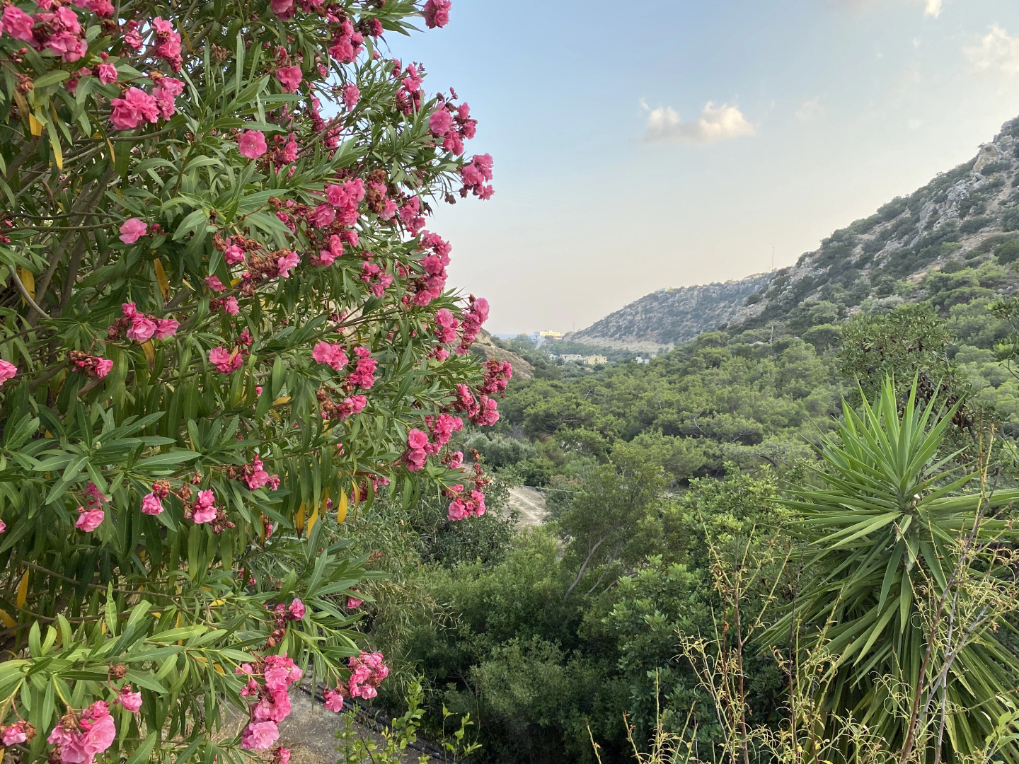 Апарт-Отель Oleander's Garden