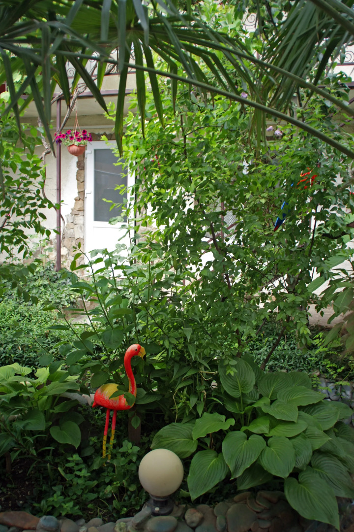 Гостевой Дом Вишневских