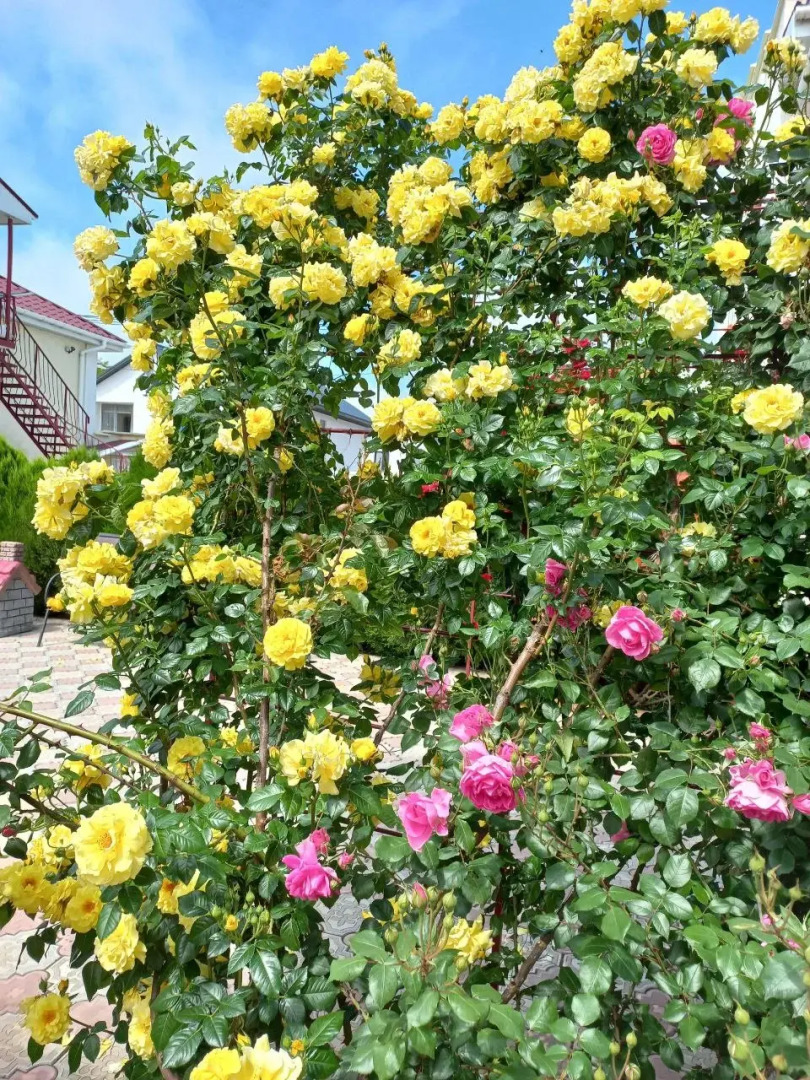 Мини-отель Якорь