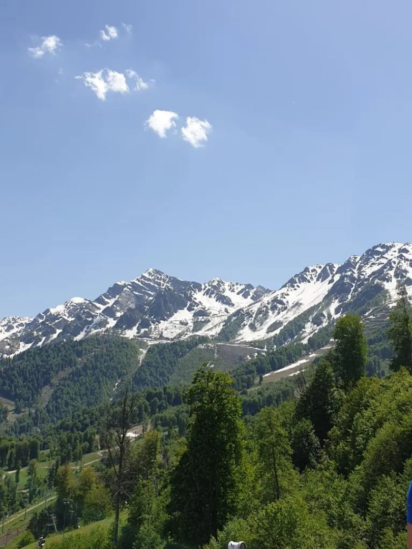 Квартира Курортный