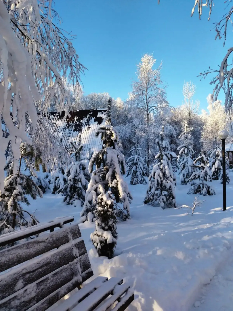 Отель Алино