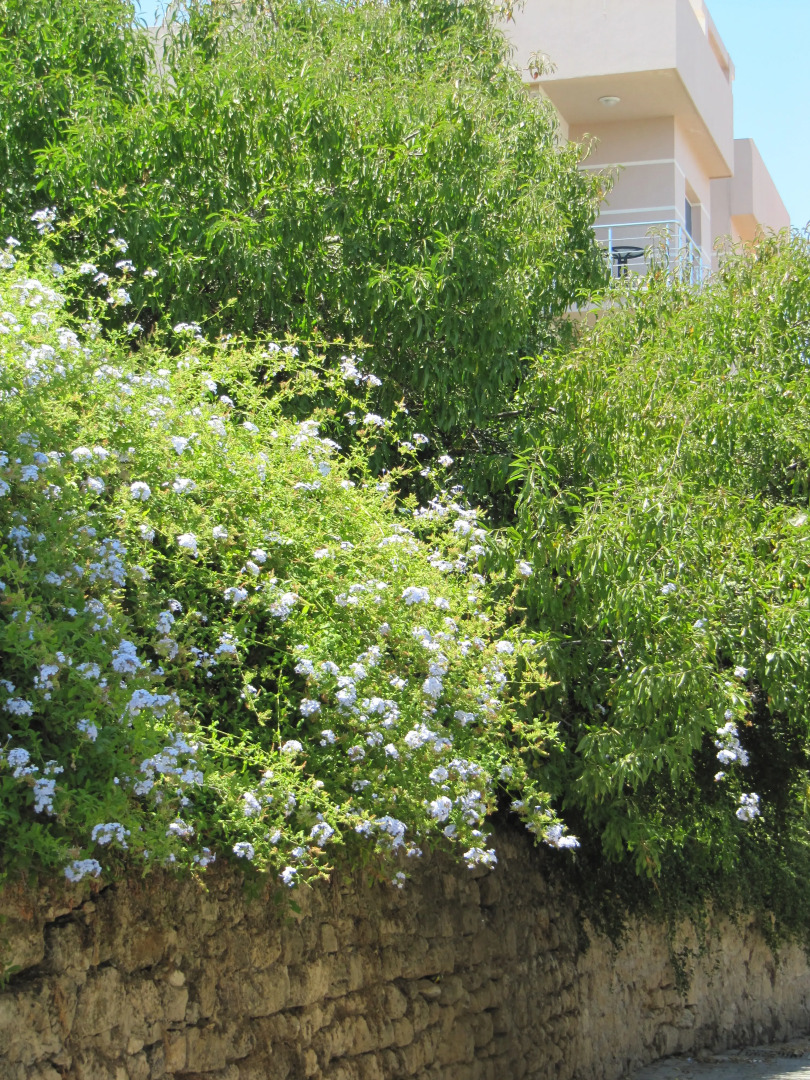 Апартаменты Sea View Penthouse