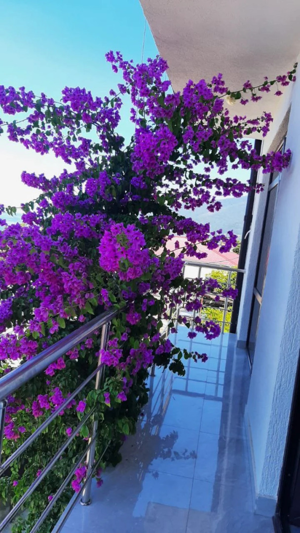 Гостевой дом Элида