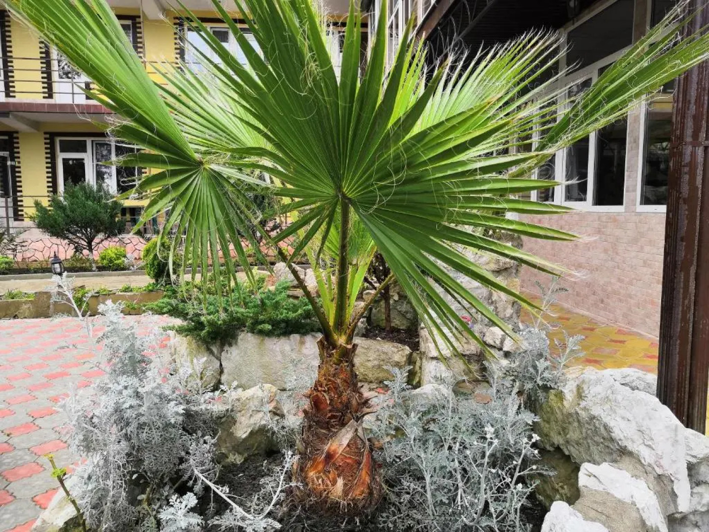 Гостевой дом Тихая гавань