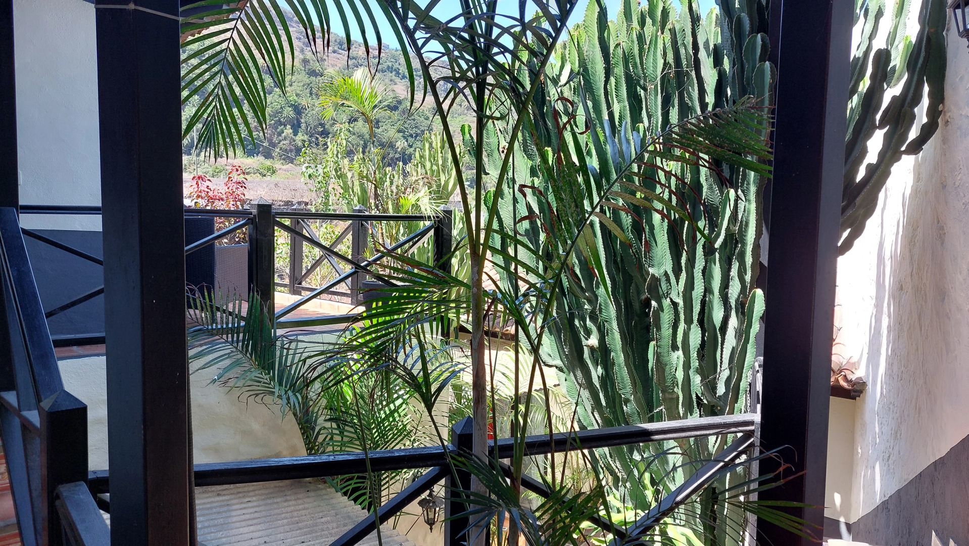 Апартаменты Apartamentos Monasterio de San Antonio Adults Only