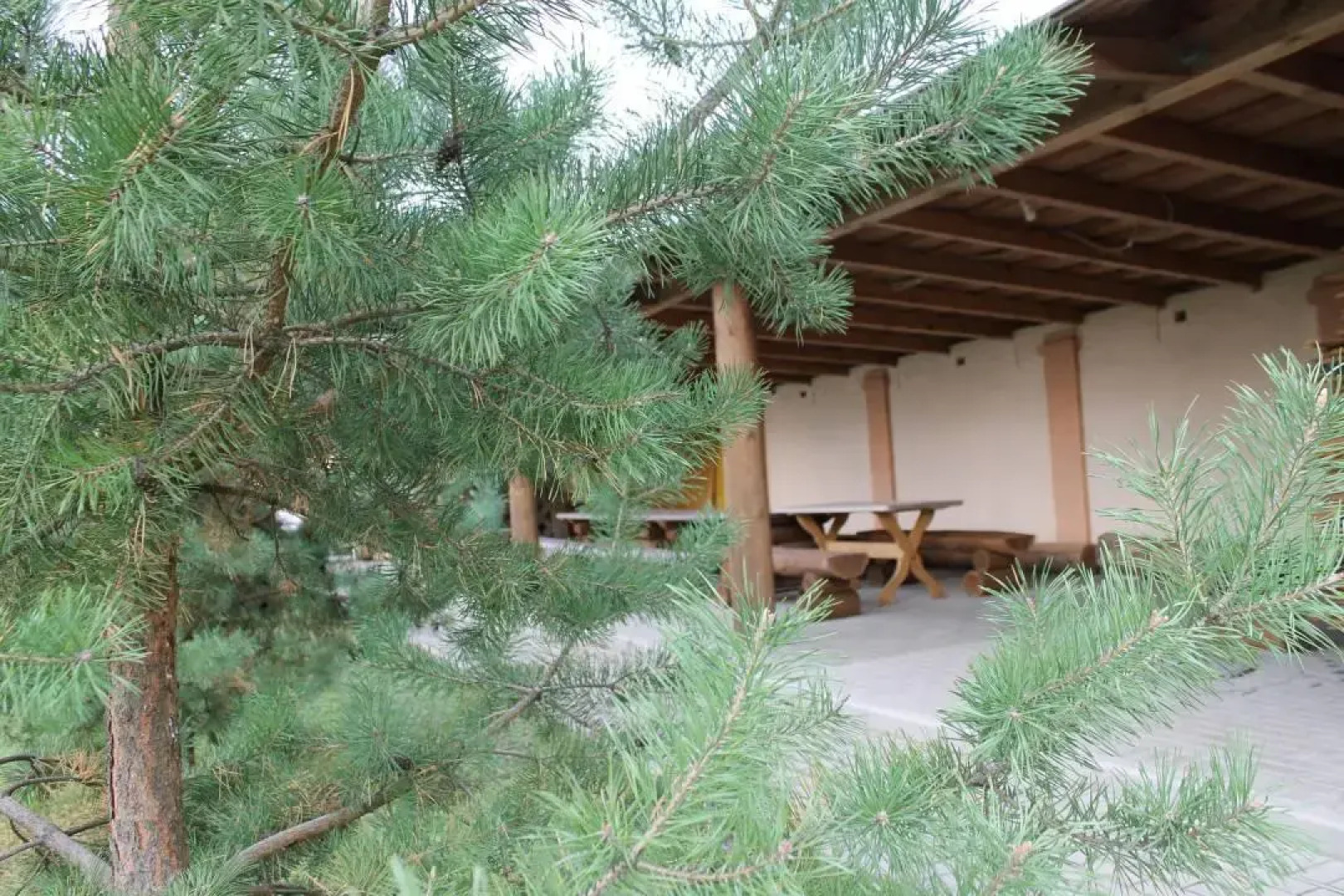 Отель Георгиевский