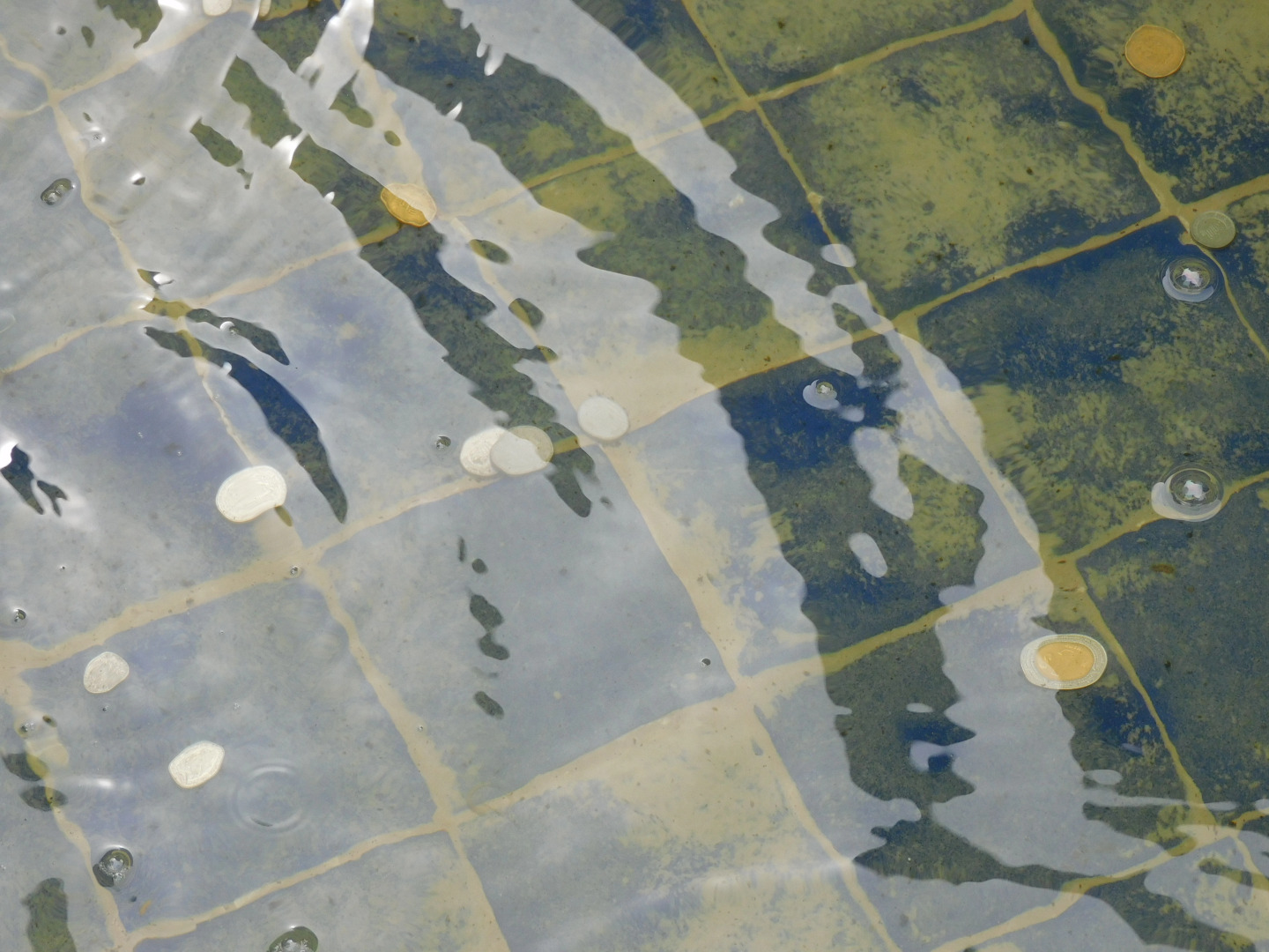 Отель La Quinta Luna Culture By Rotamundos