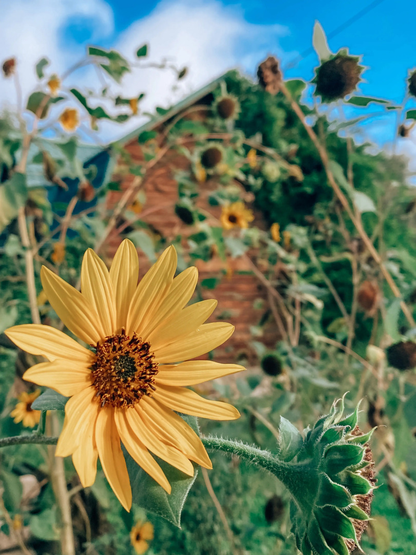 База отдыха Замок