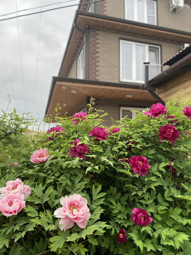 Гостевой Дом Апартаменты Александра