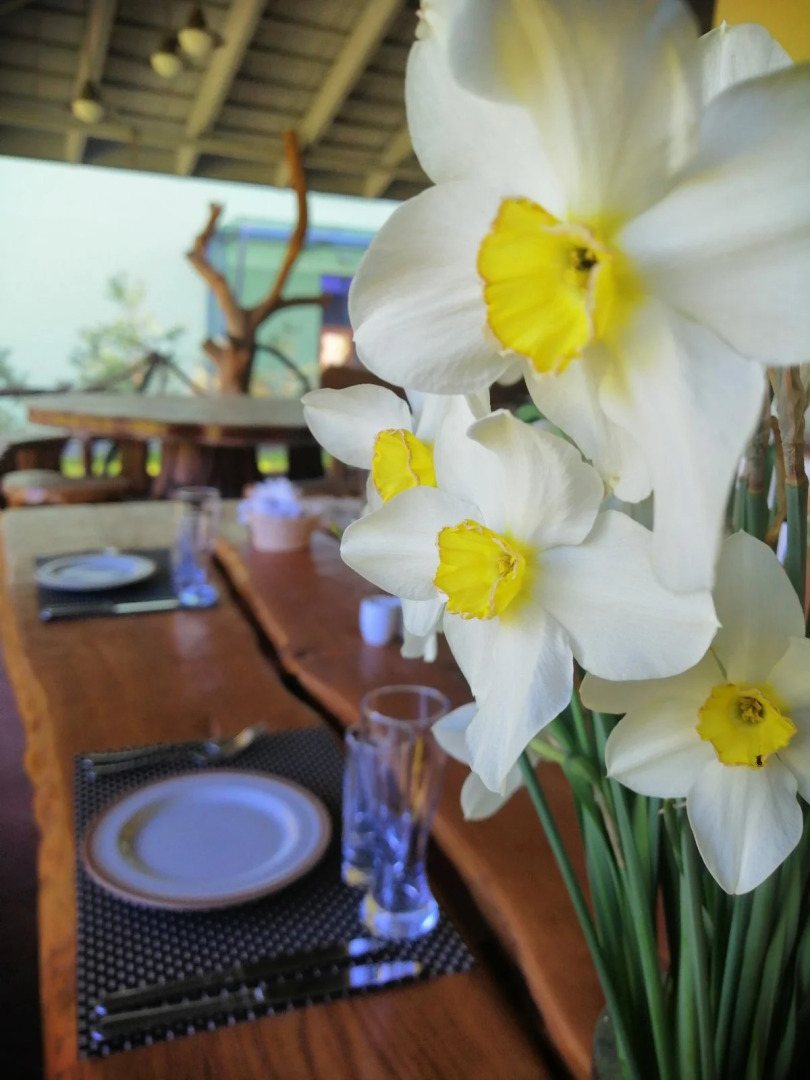 Отель Green Park Conference & Spa