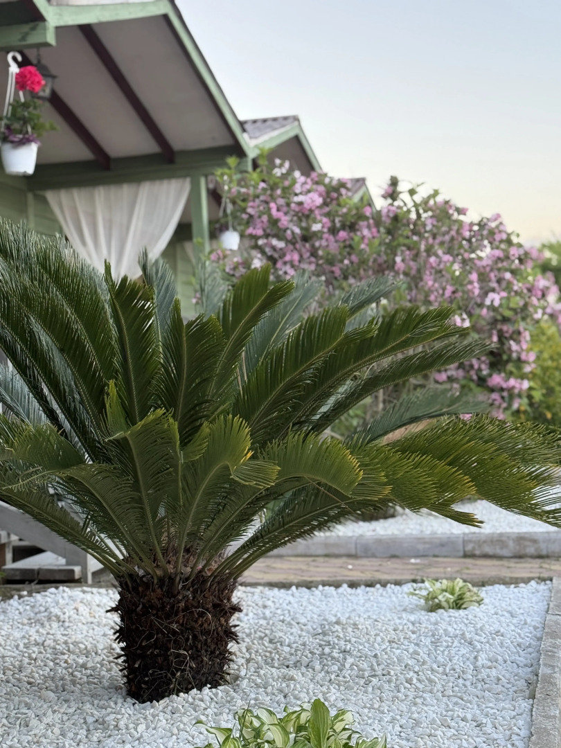 Гостевой дом MiMi