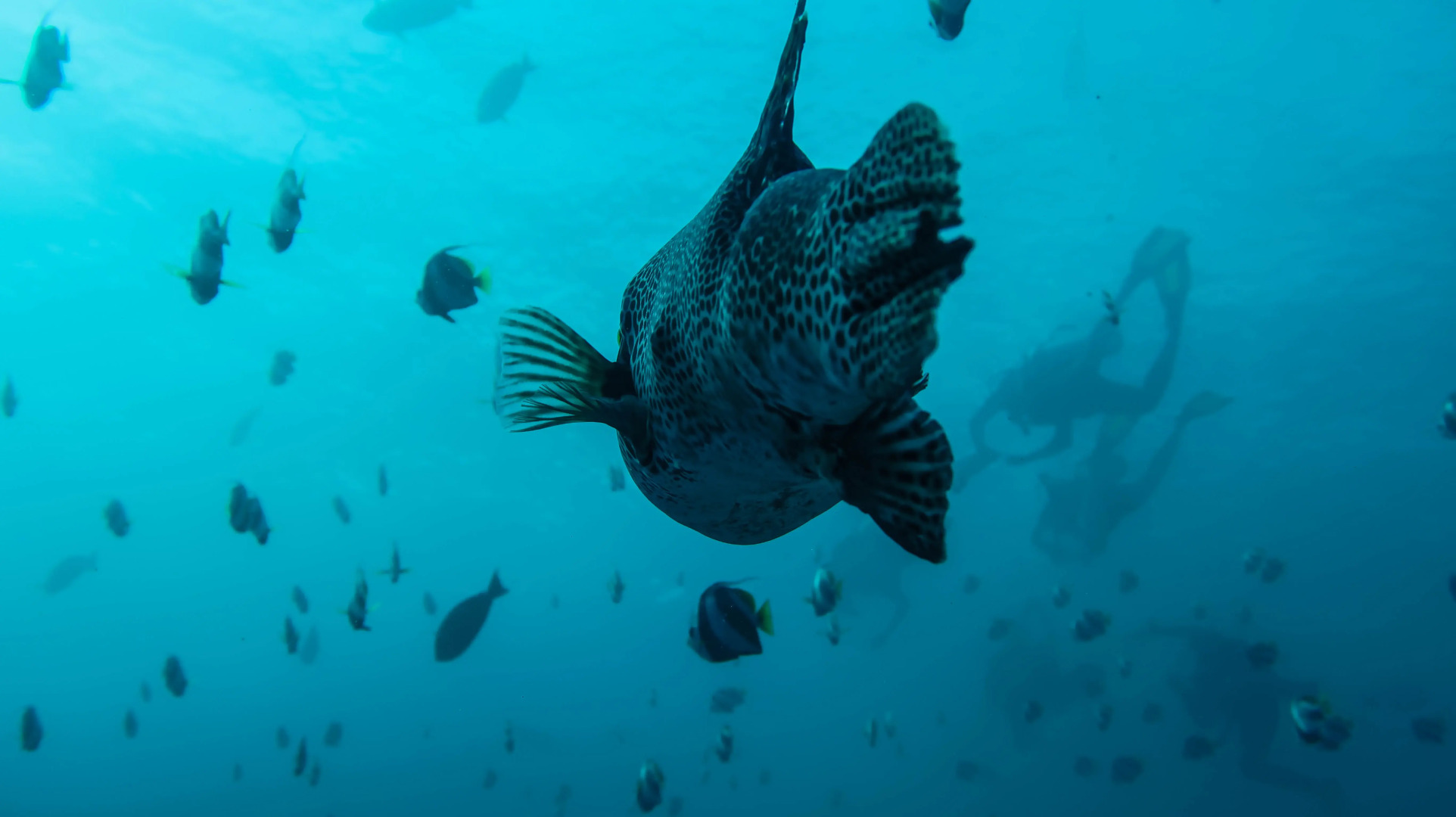 Гостевой Дом Reposo View