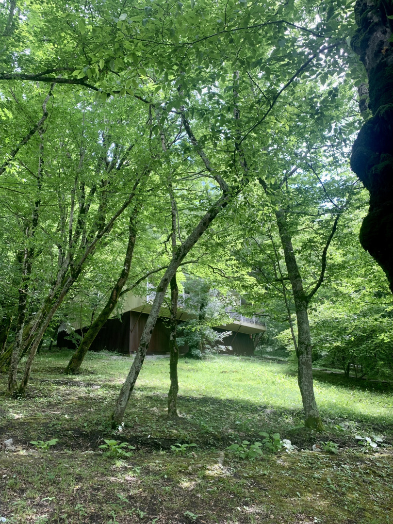 База отдыха Гостиничный комплекс Примула