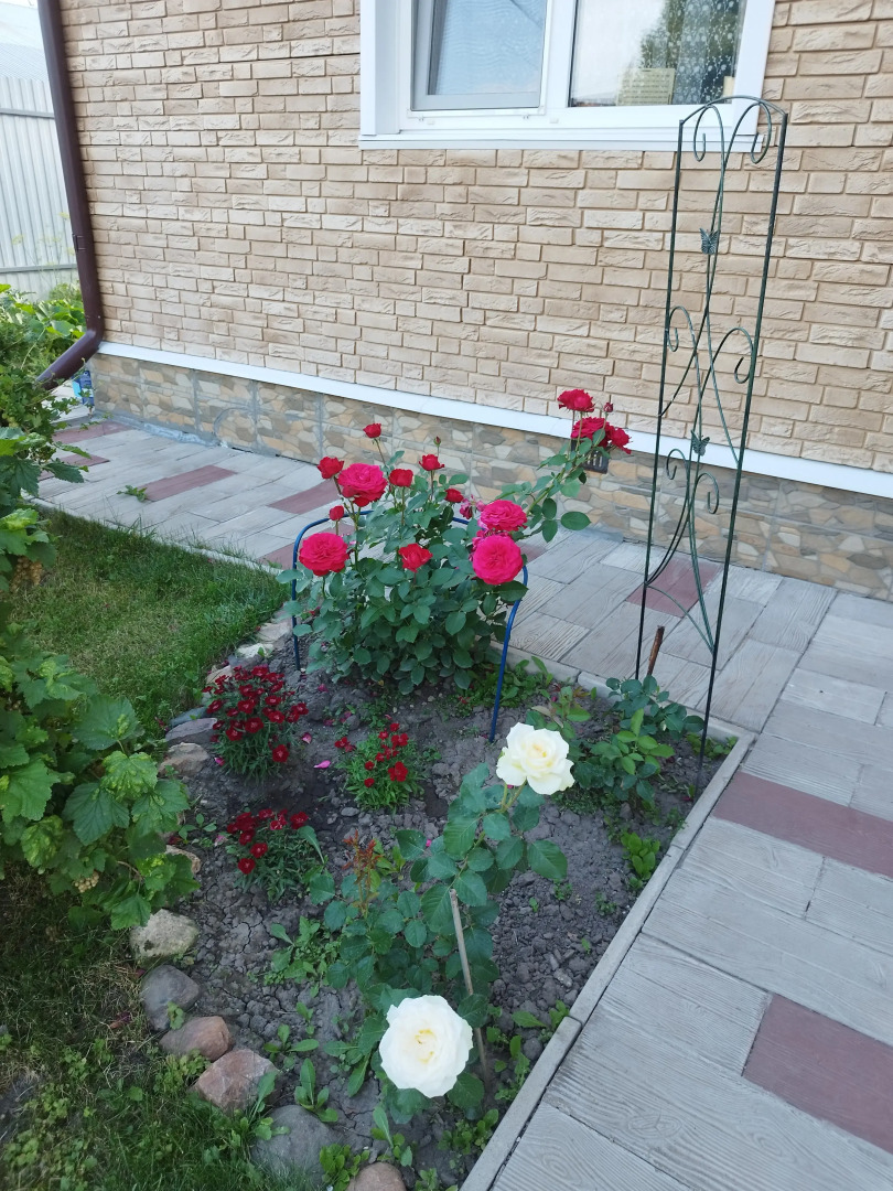 Частный Дом S Baney