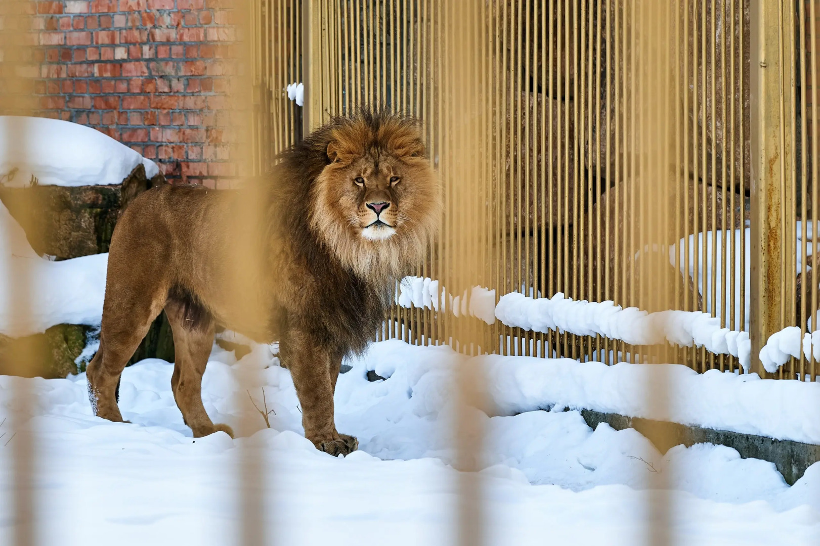Отель Карым-Муны