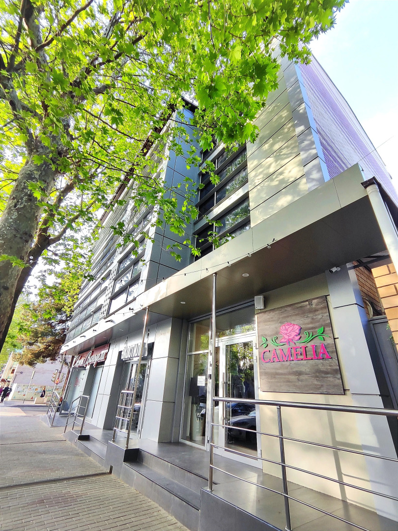 Отель Камелия