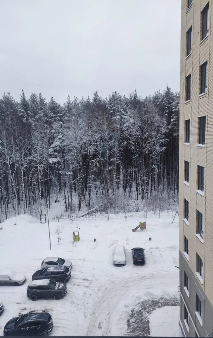 Квартира Лесная сказка