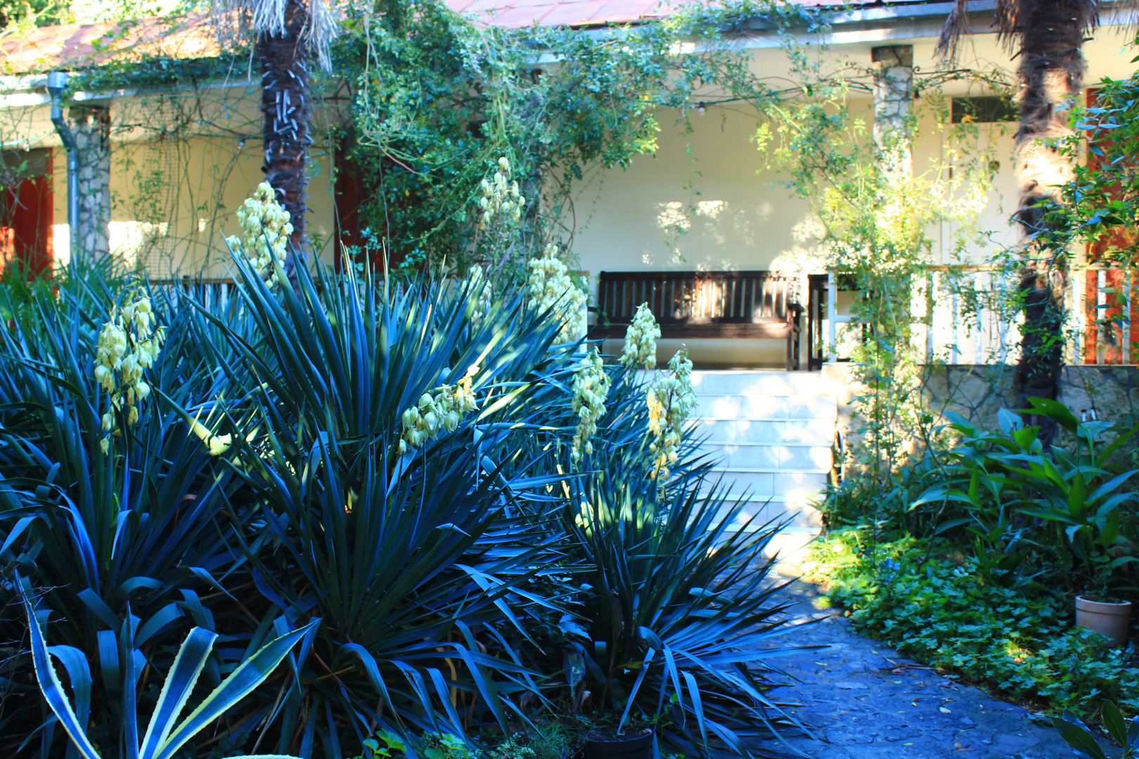 Меблированные комнаты Летний Дворик