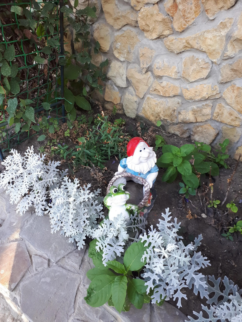 Гостевой Дом Дежавю