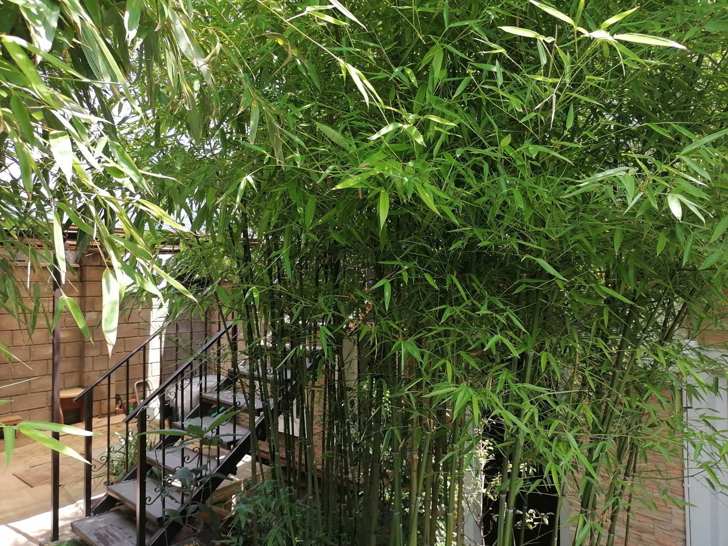 Апартаменты Мансарда в Тихом Центре Севастополя