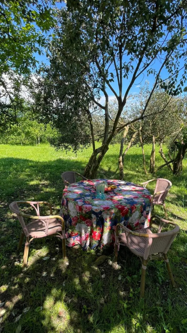 Частный дом Дом в Абхазии