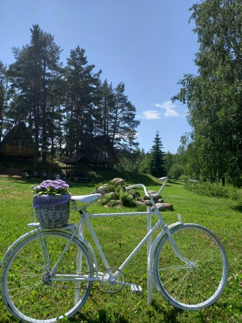 Гостевой дом Под соснами