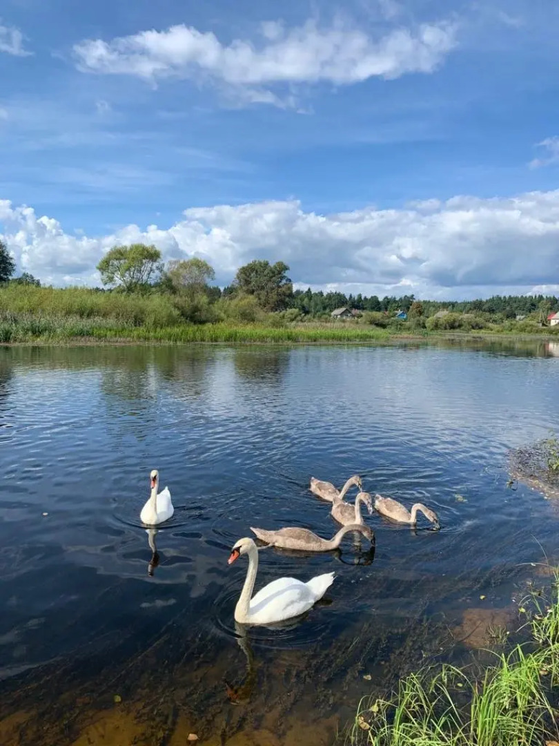 Гостевой Дом La Деревня