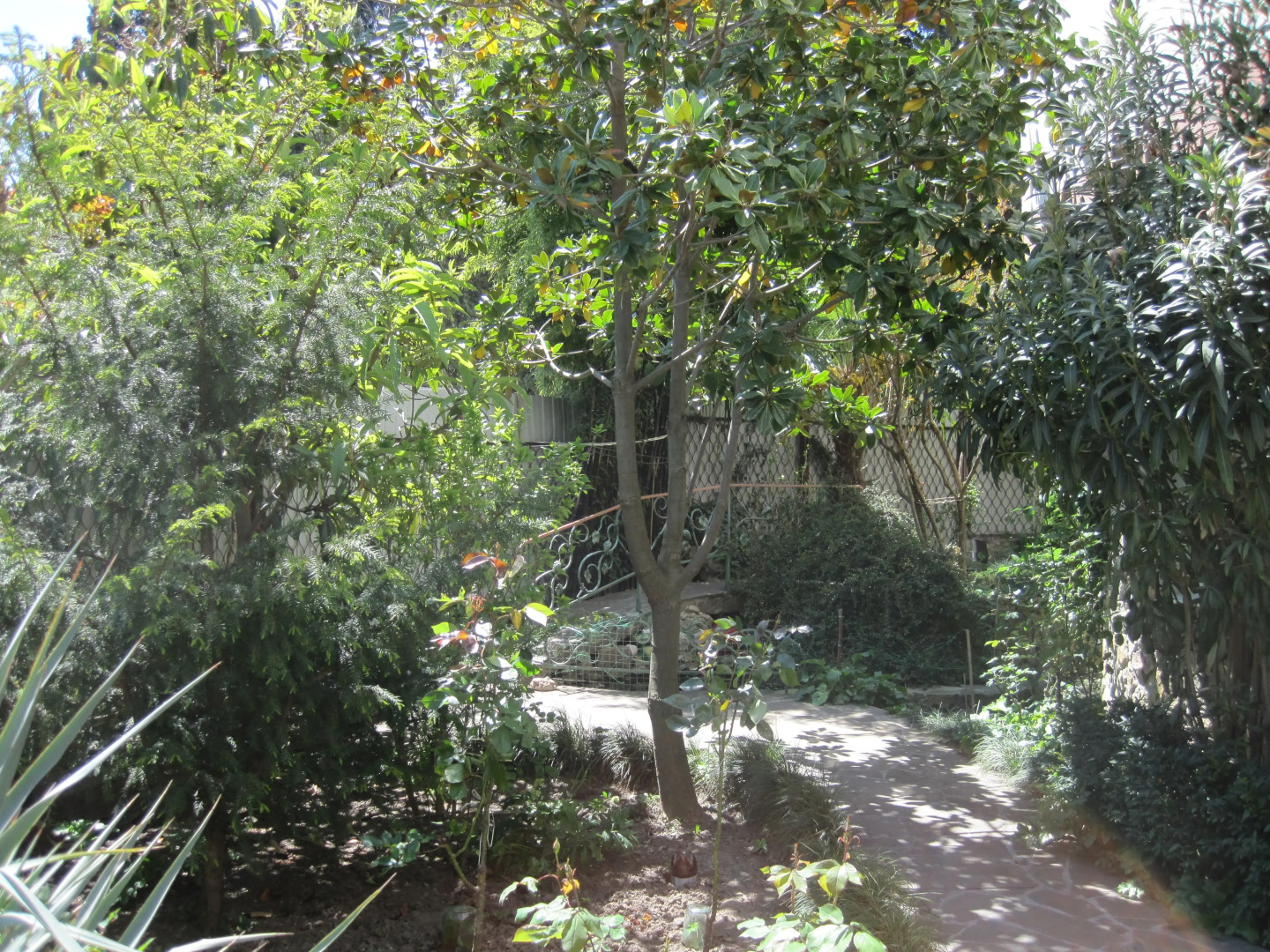 Гостевой Дом Вилла Лилия