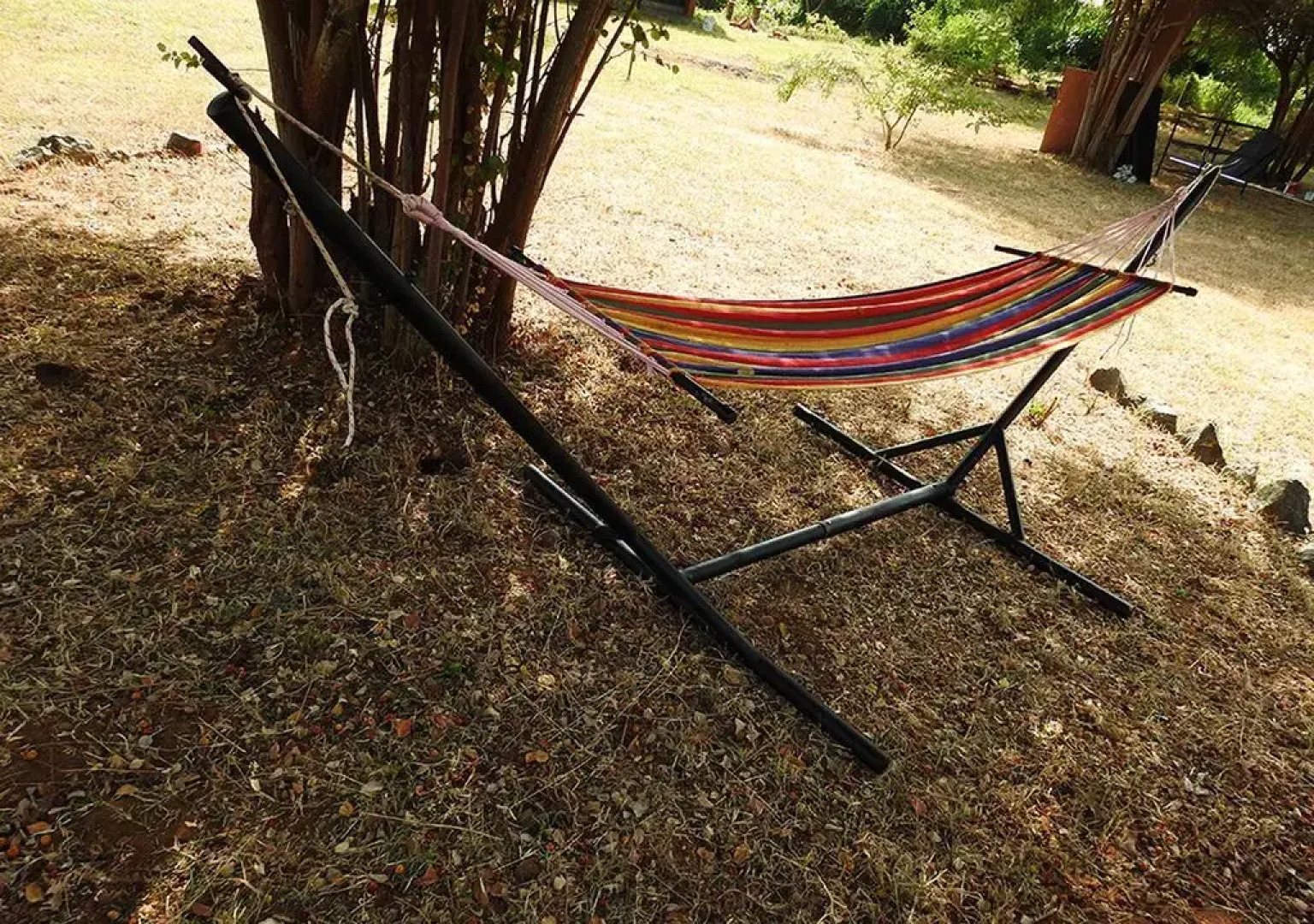 Отель Elephant Pass