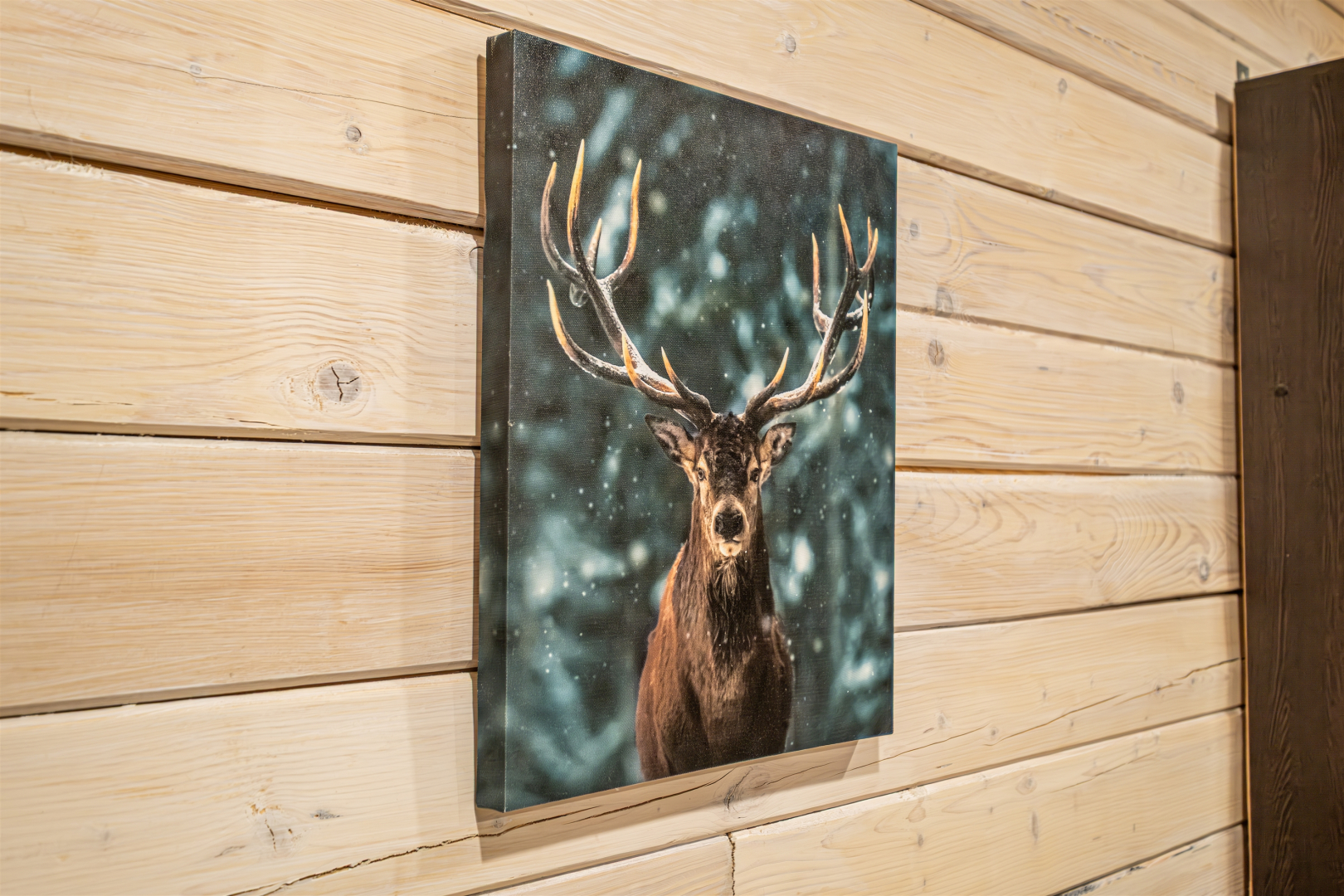 Гостевой дом Шале Аркасара