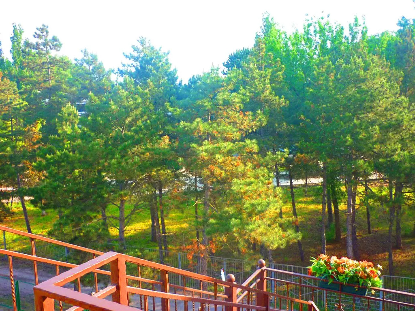 Гостевой дом Аморе 1