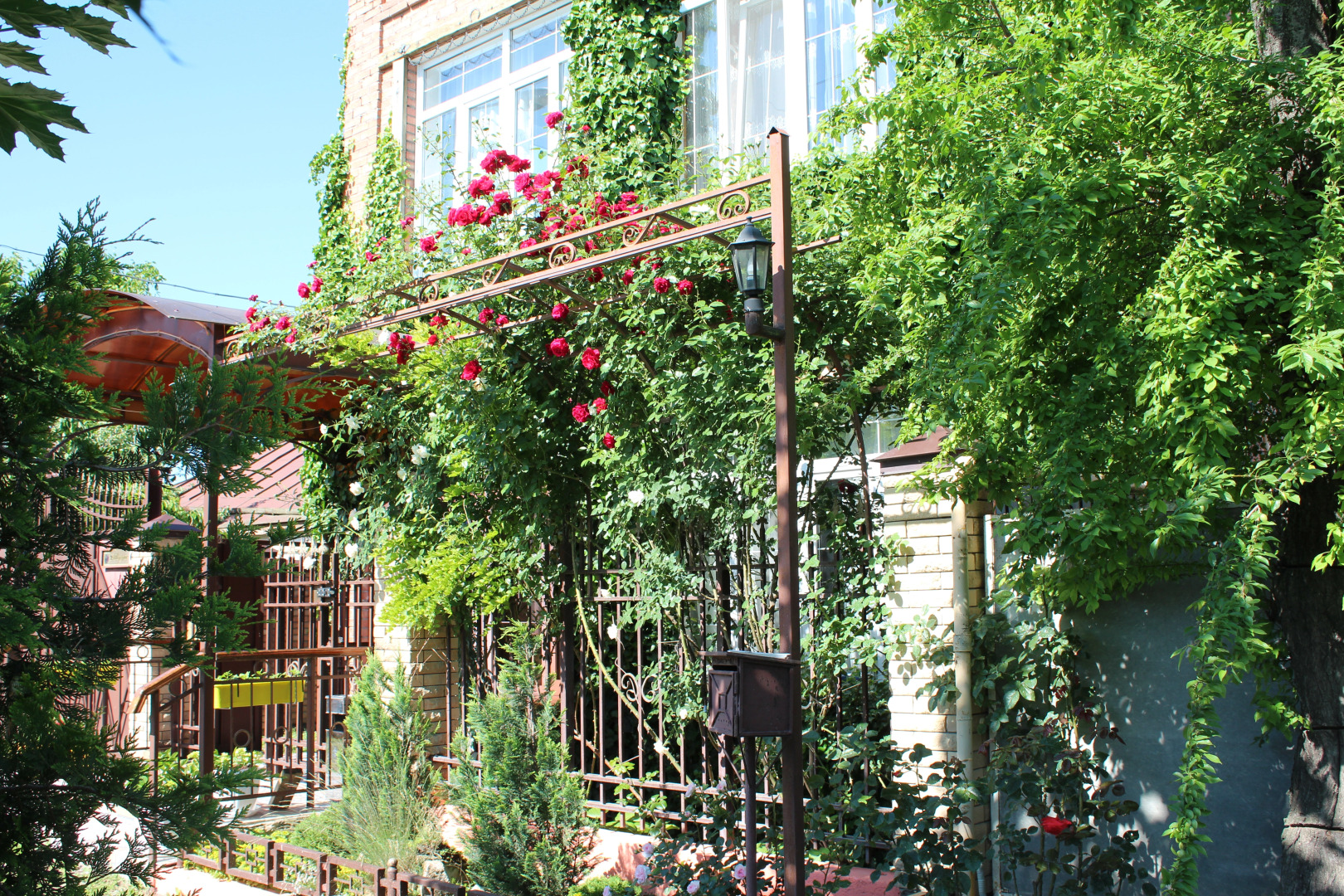 Меблированные комнаты У Друзей