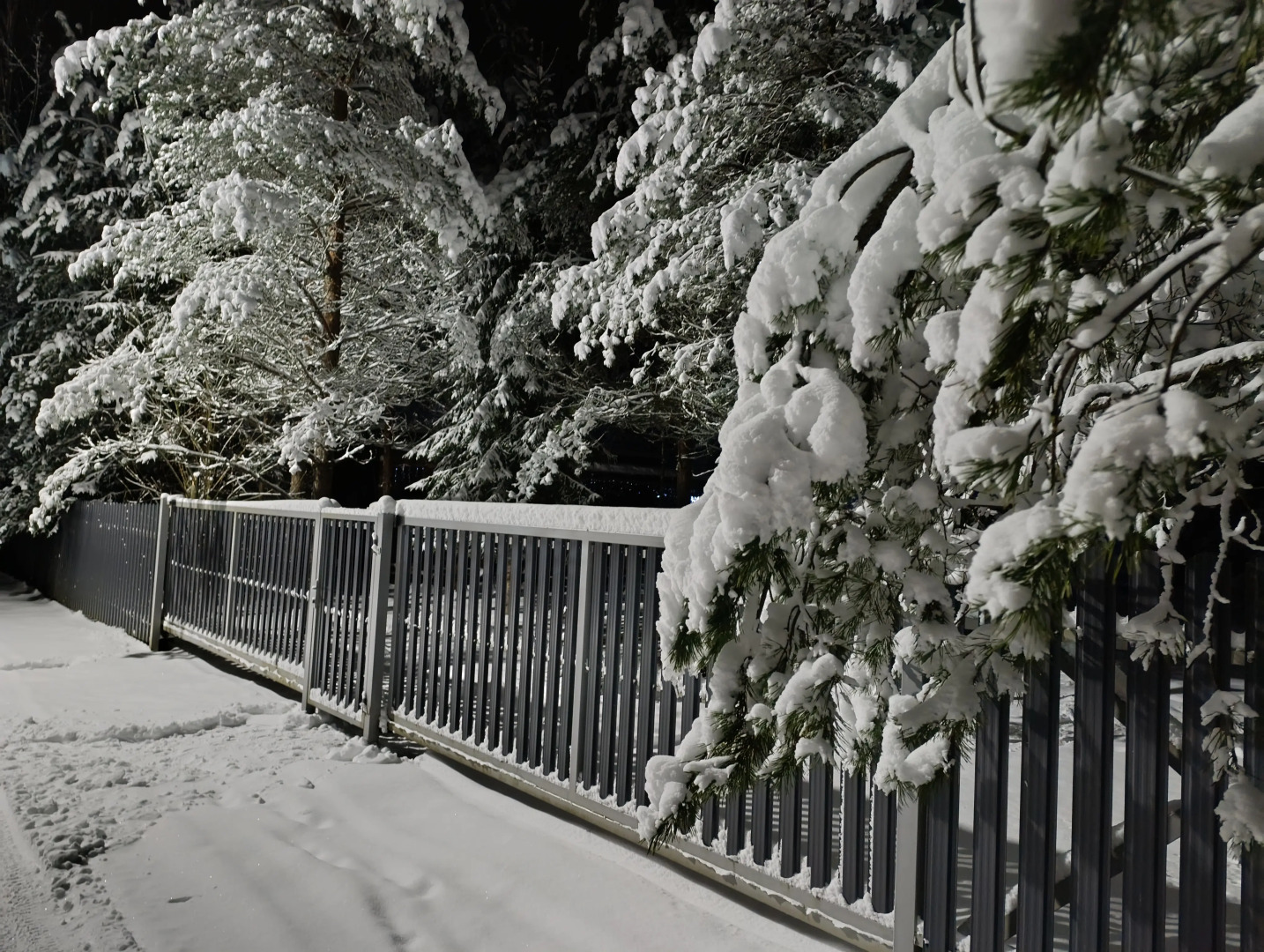 Гостевой дом на опушке леса