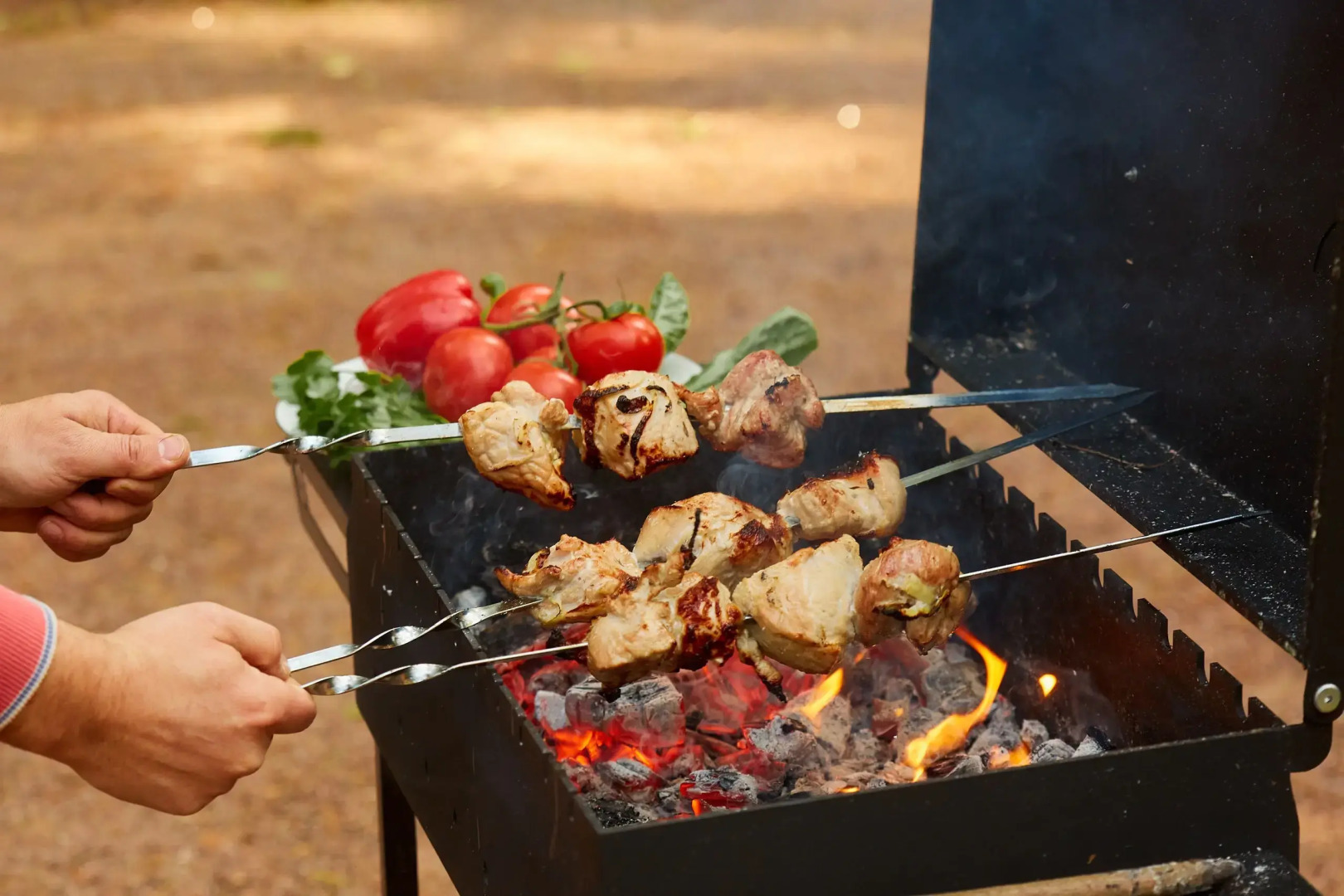 Частный дом Большая Репинская дача в лесу
