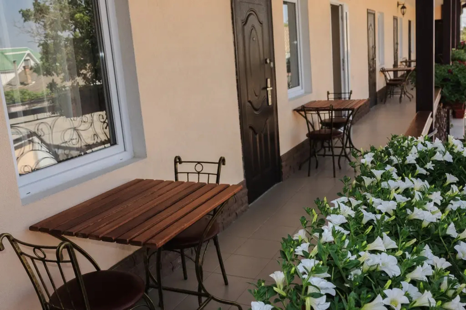 Отель Оазис