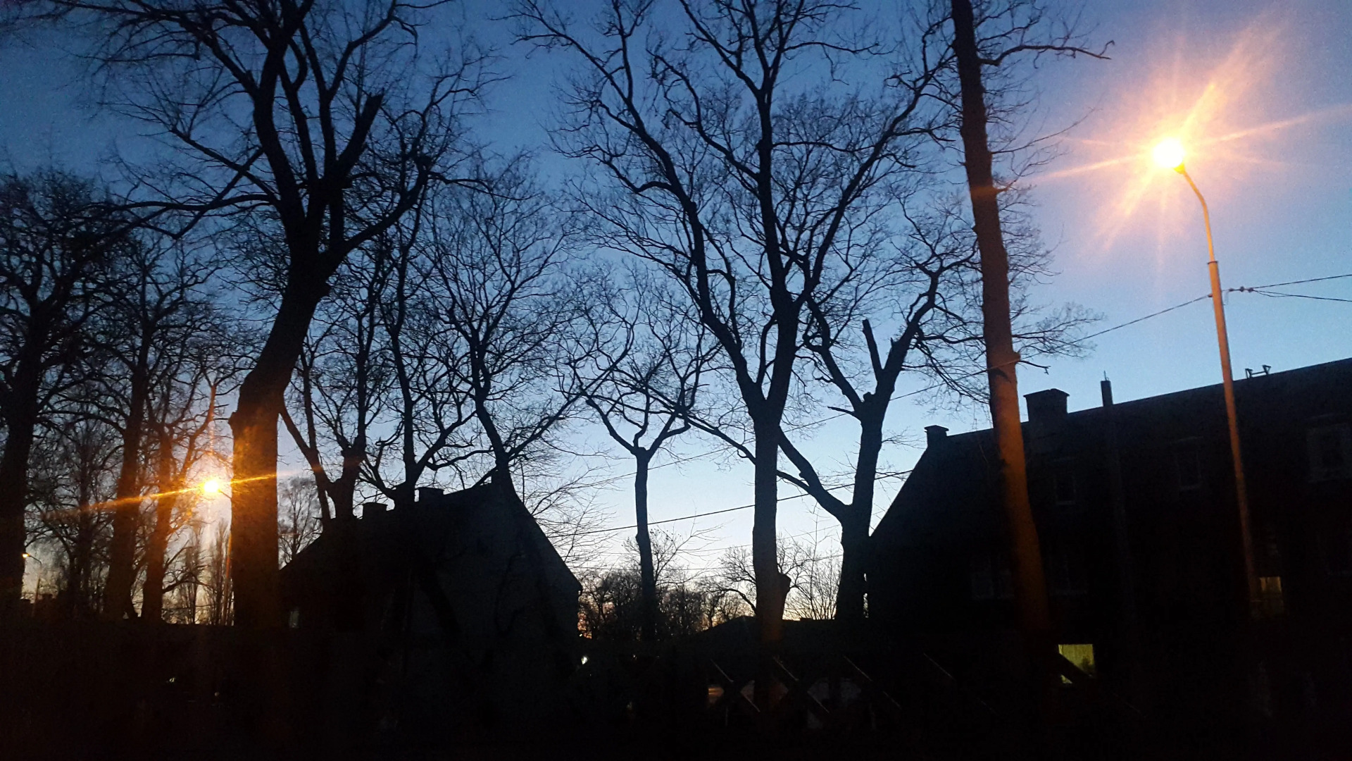 Гостевой дом Листья Травы