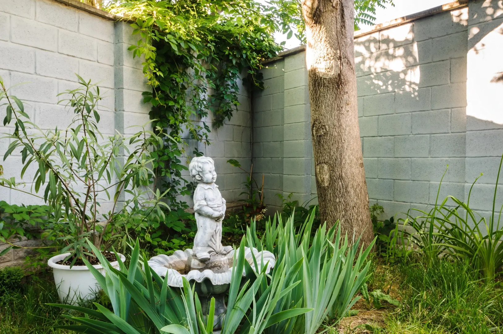 Отель Аврора