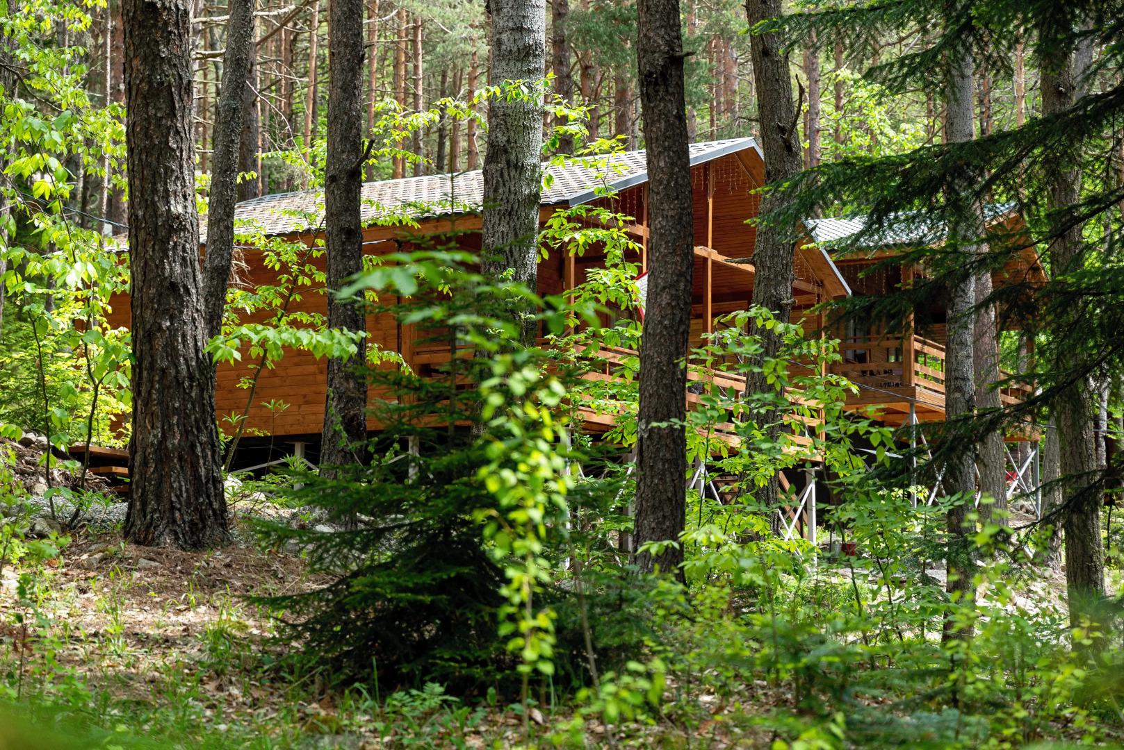 Отель Нарния