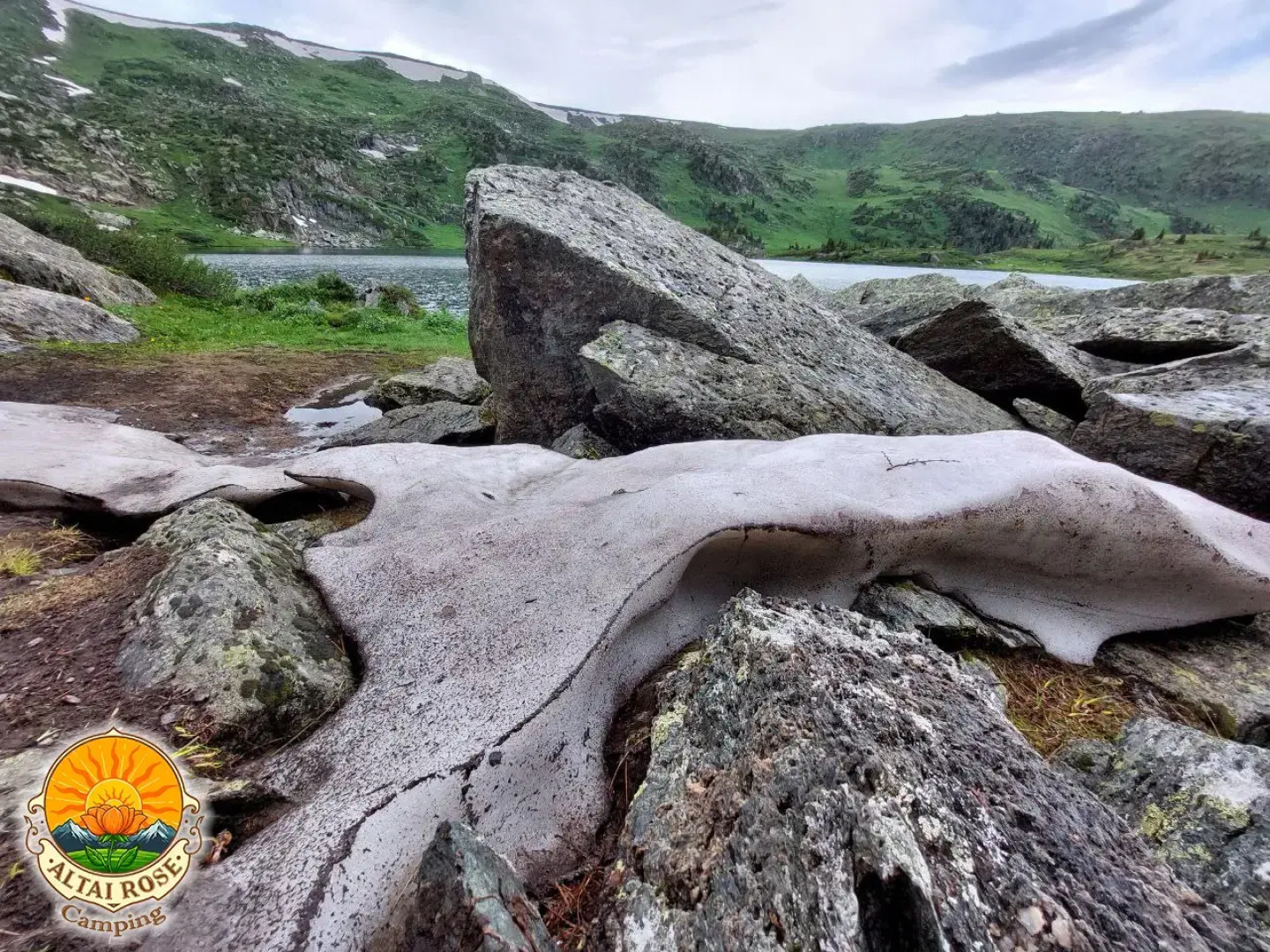 База отдыха Алтайская Роза