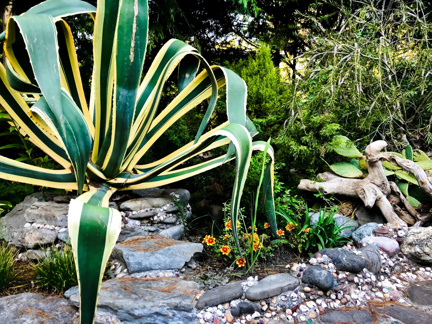 Отель Ламоре