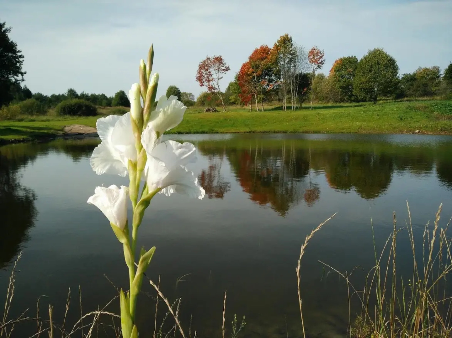 Podcherniche guest House