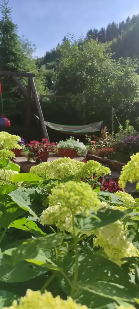 Гостевой дом Радевичи