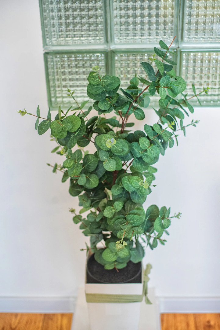 Апартаменты HB apartments Marukhis