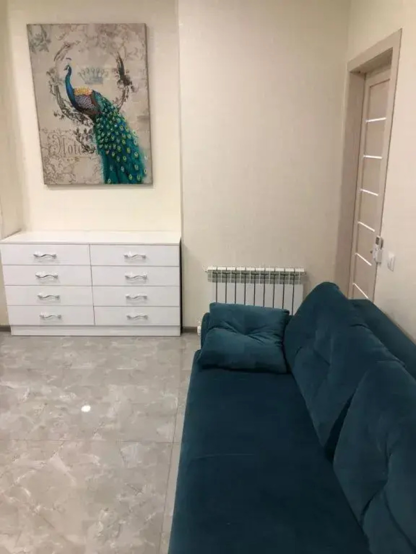 Апартаменты Central Vladivostok Апартаменты с Террасой