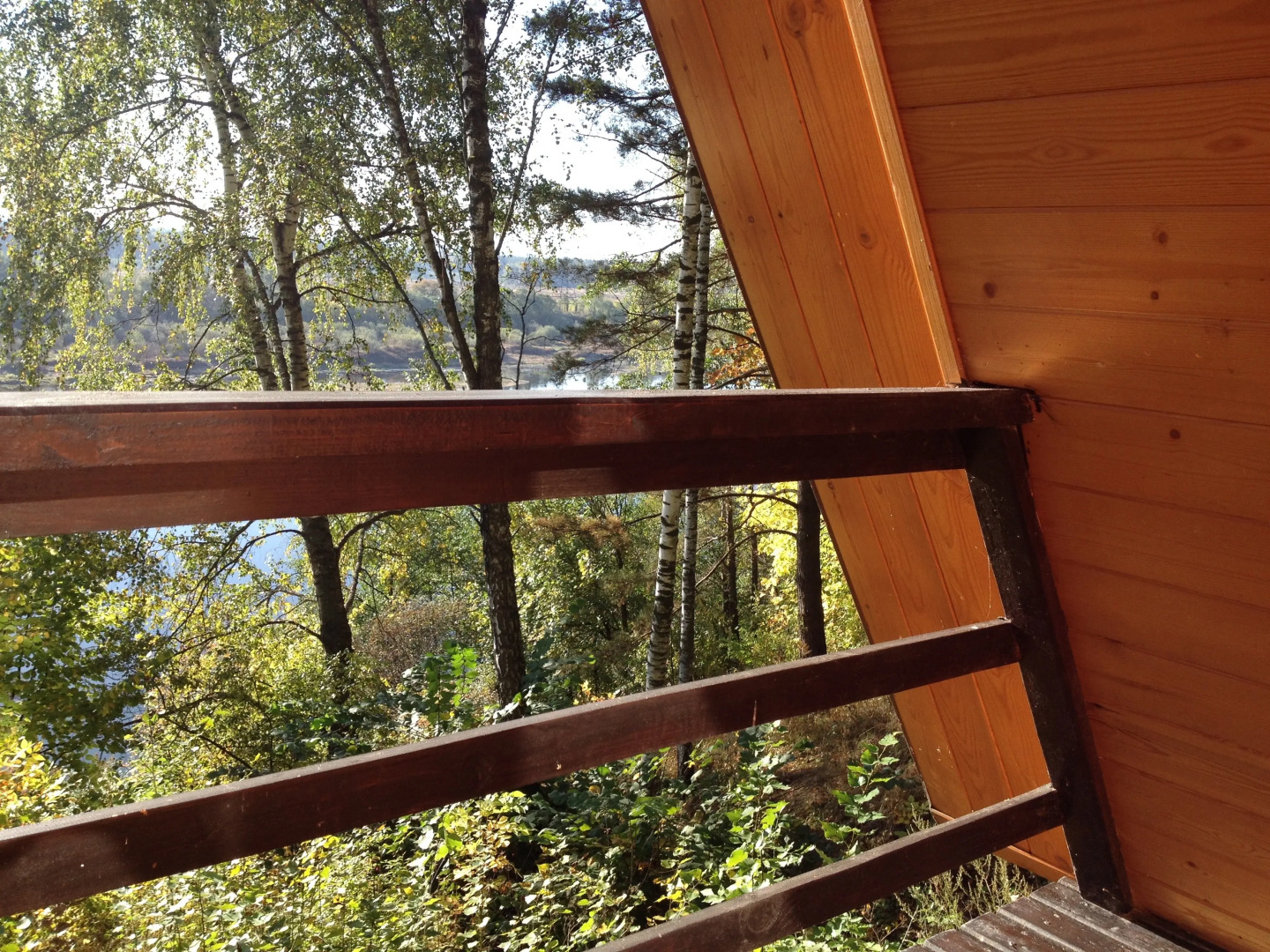 База отдыха Солнечная на Оке