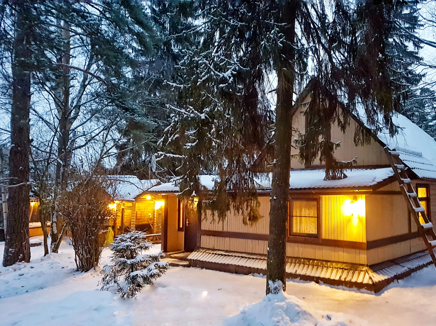 Гостевой дом Гостевой домик "Бунгало"