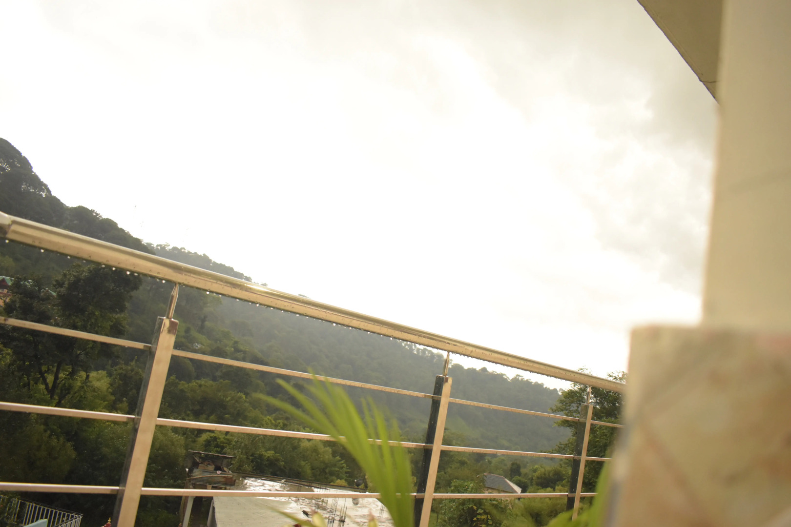 Отель Nature S View