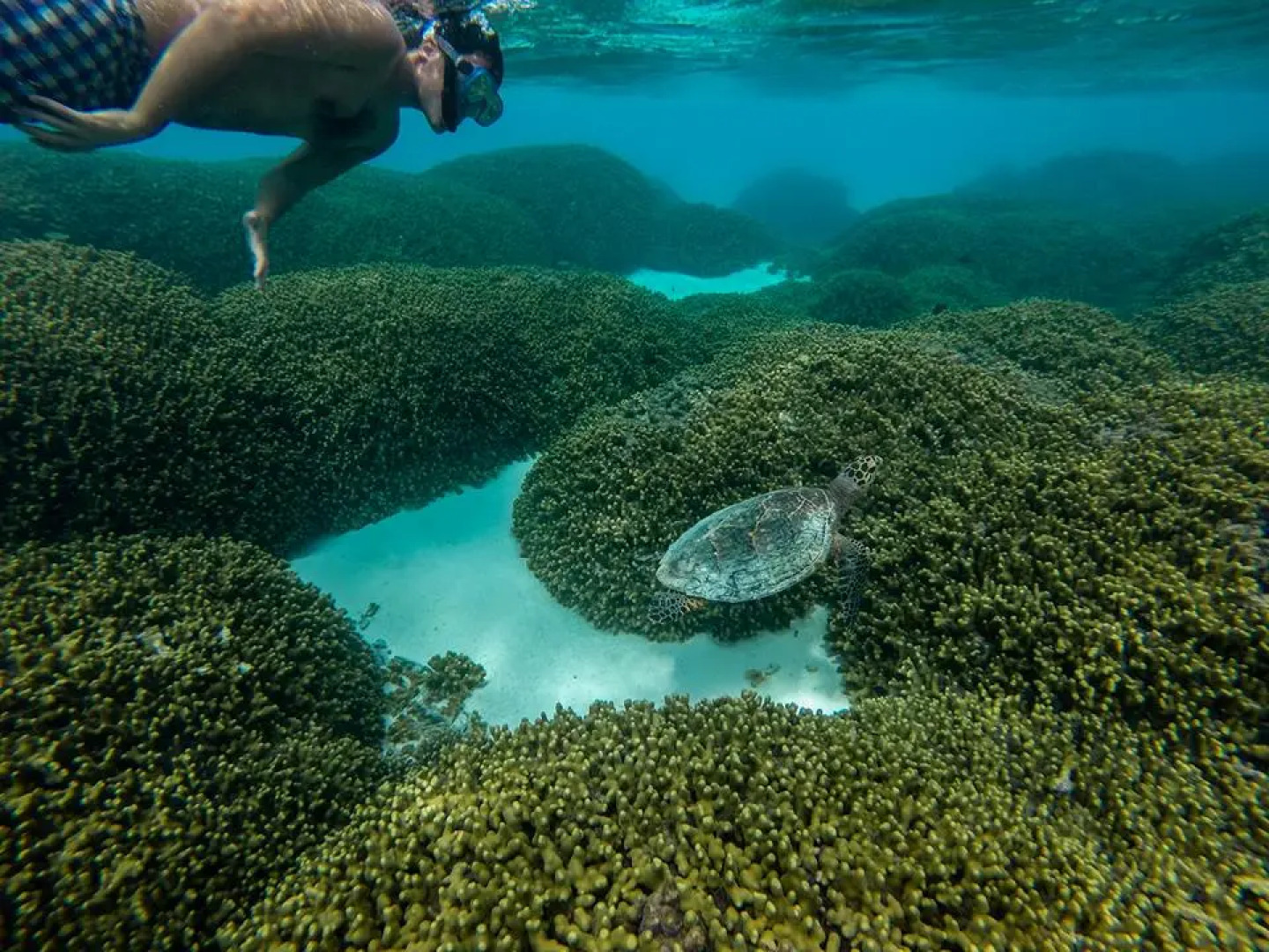 Гостевой Дом Holiday Cottage Maldives